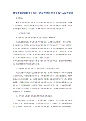 2023年镇党委书记在民主生活会上的发言提纲 组织生活个人发言提纲.docx