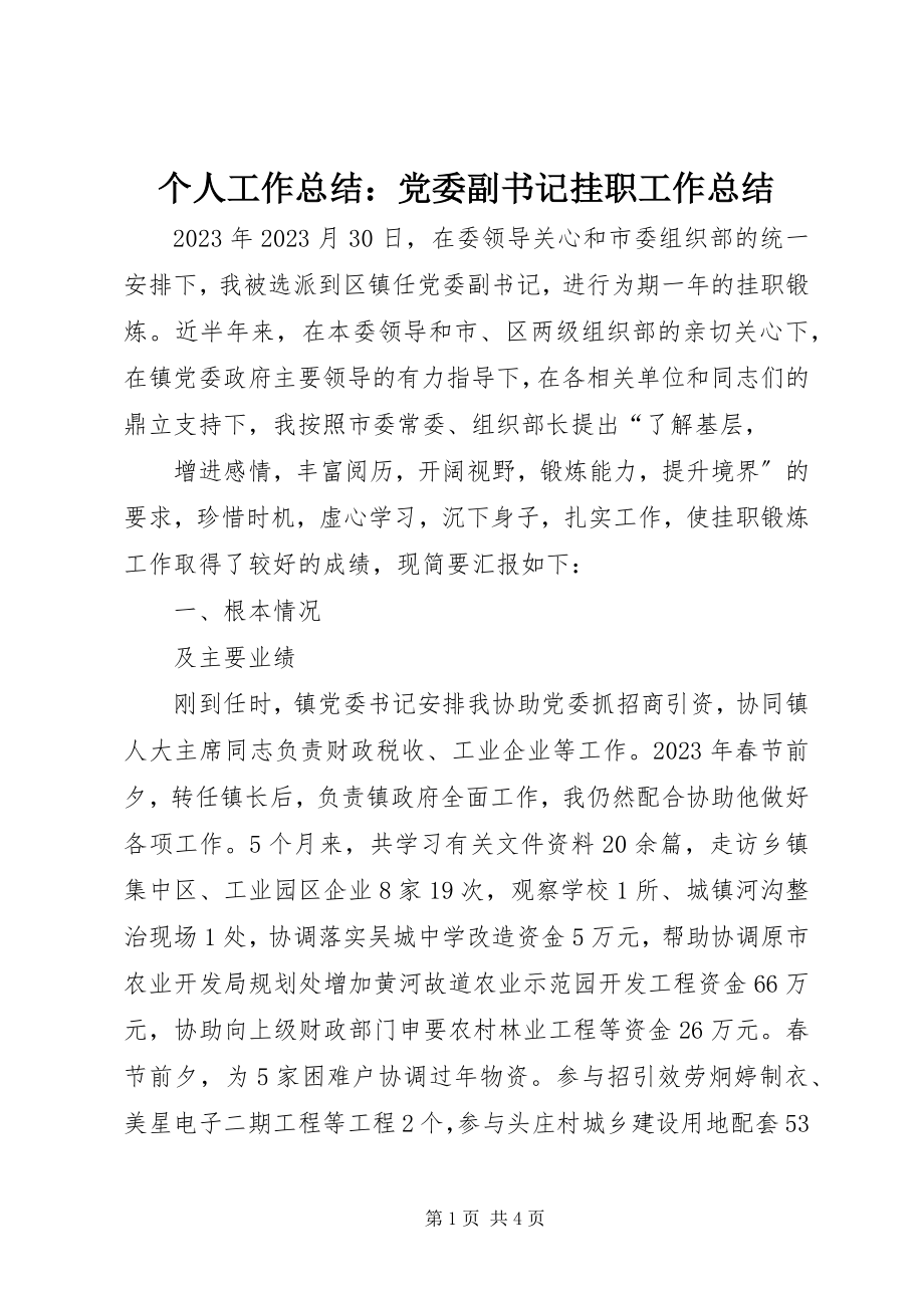 2023年个人工作总结党委副书记挂职工作总结.docx_第1页