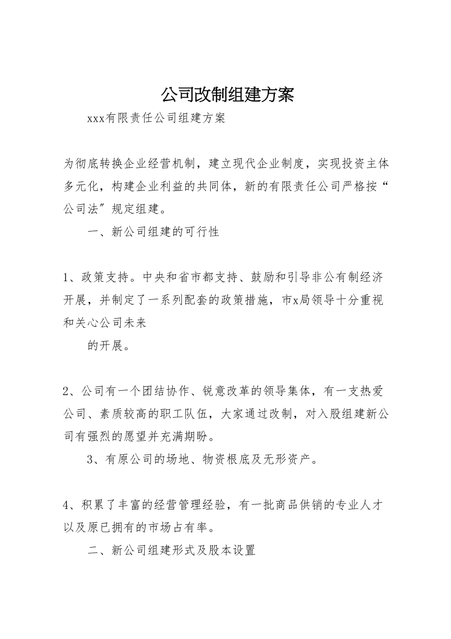 2023年公司改制组建方案 .doc_第1页