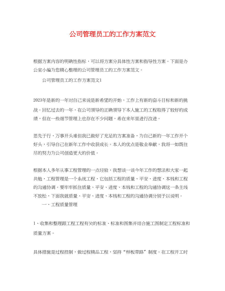 2023年公司管理员工的工作计划.docx_第1页