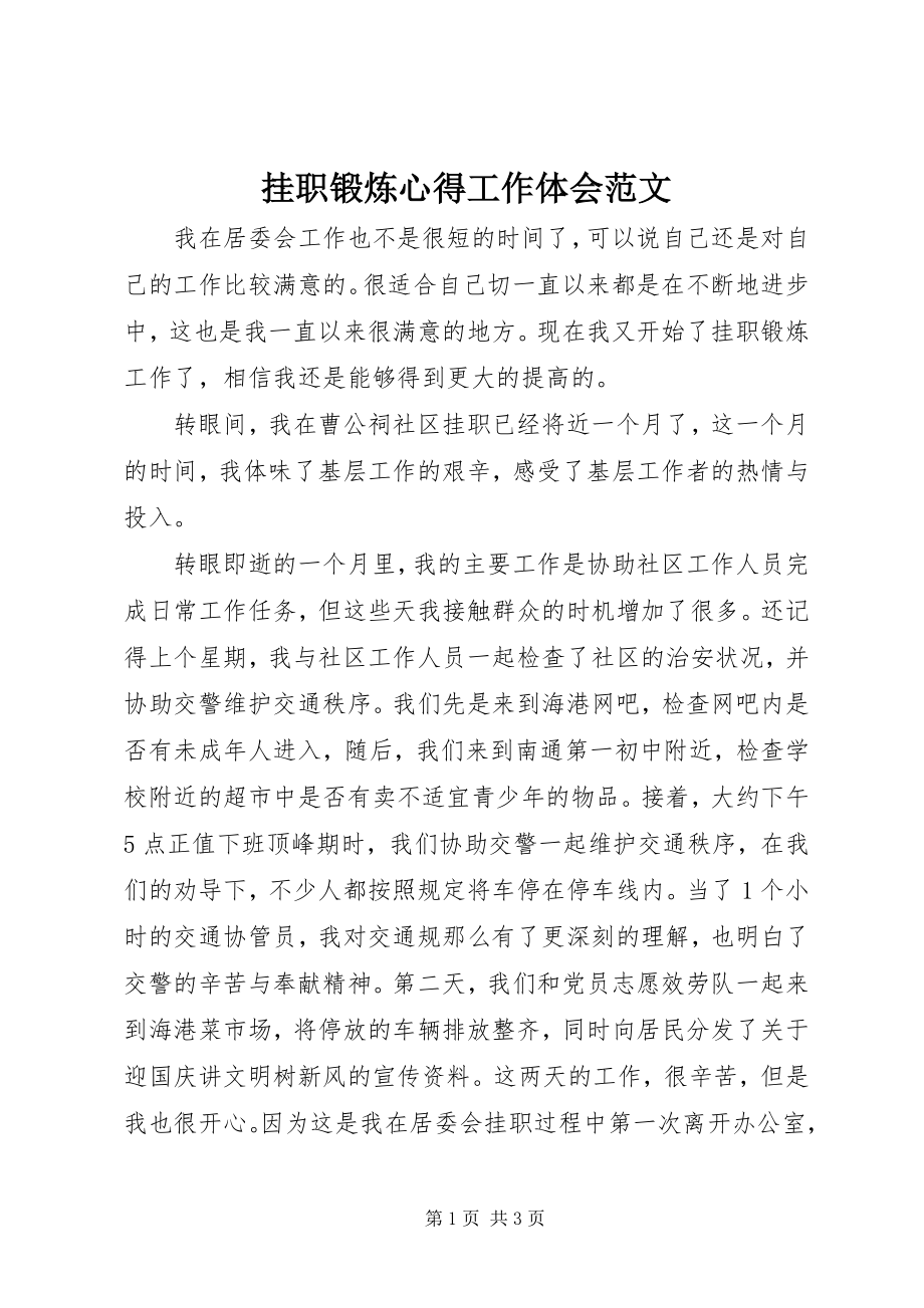 2023年挂职锻炼心得工作体会2.docx_第1页