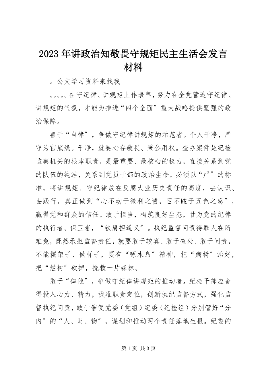 2023年讲政治知敬畏守规矩民主生活会讲话材料.docx_第1页