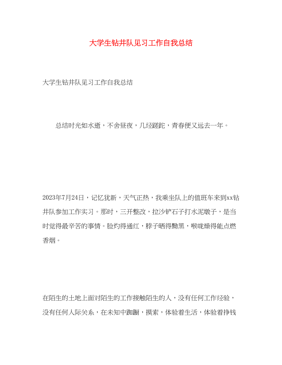 2023年大学生钻井队见习工作自我总结.docx_第1页