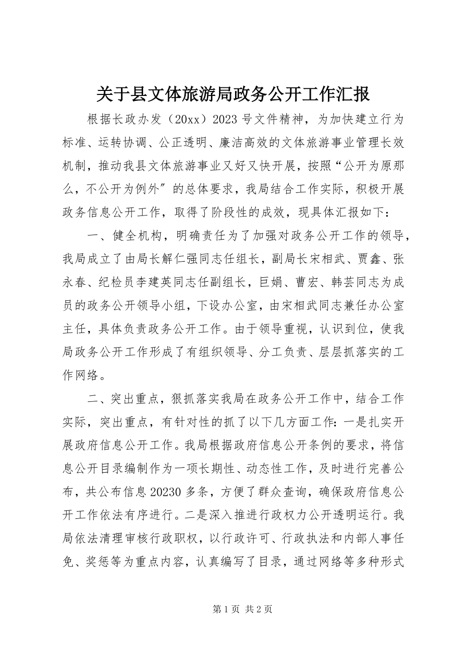 2023年县文体旅游局政务公开工作汇报.docx_第1页