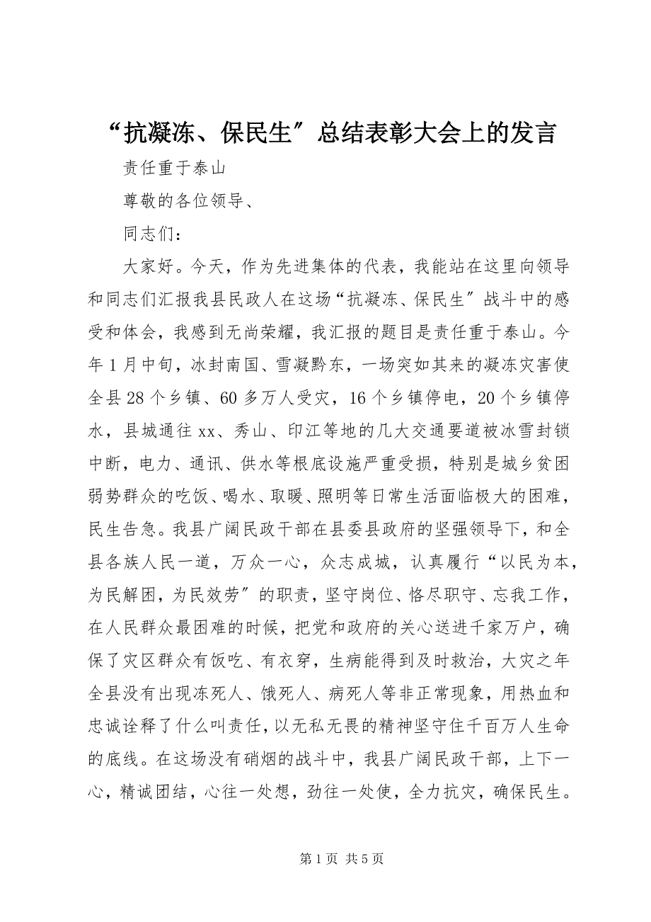 2023年抗凝冻保民生总结表彰大会上的讲话.docx_第1页