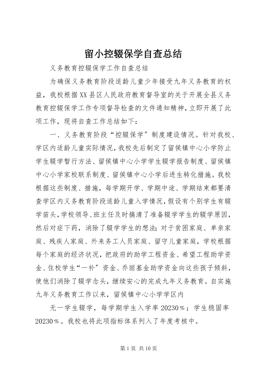 2023年留小控辍保学自查总结.docx_第1页