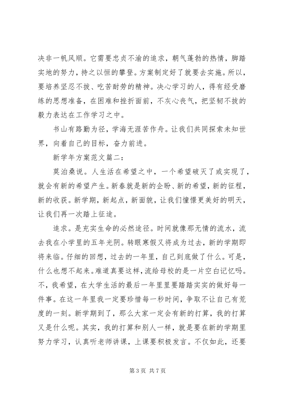 2023年新计划3篇.docx_第3页