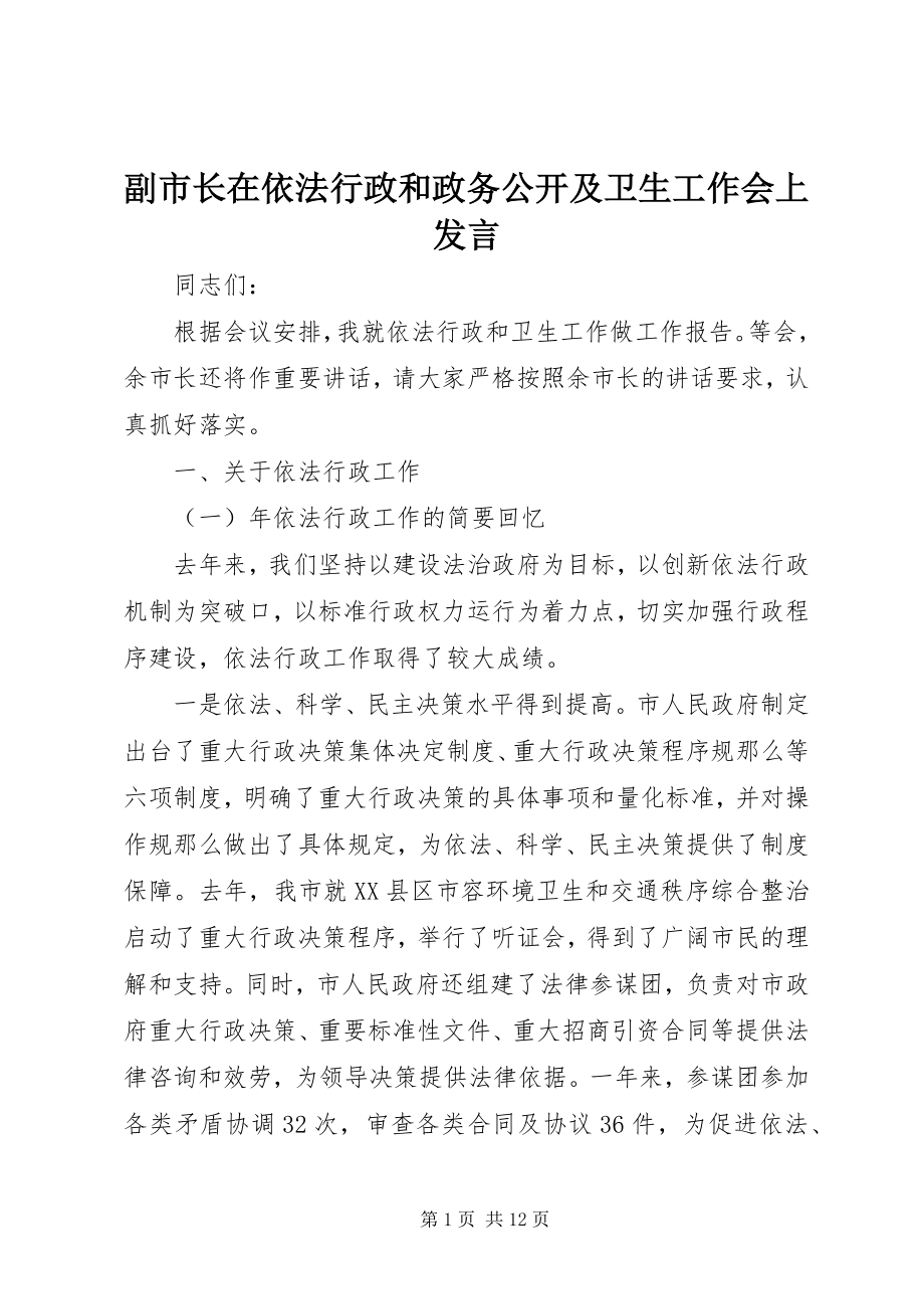 2023年副市长在依法行政和政务公开及卫生工作会上讲话.docx_第1页