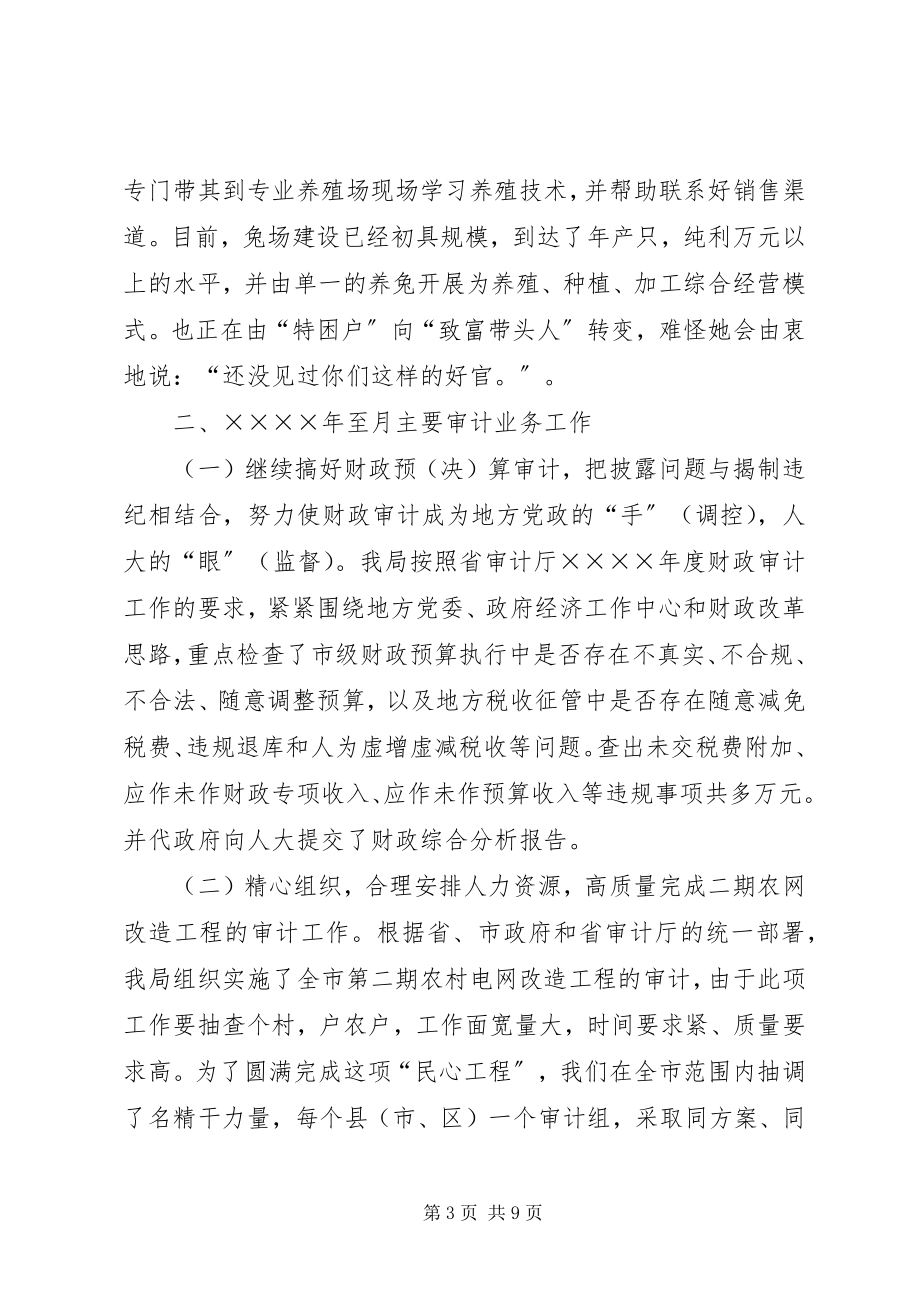 2023年市审计局二○○四年上半年工作总结.docx_第3页