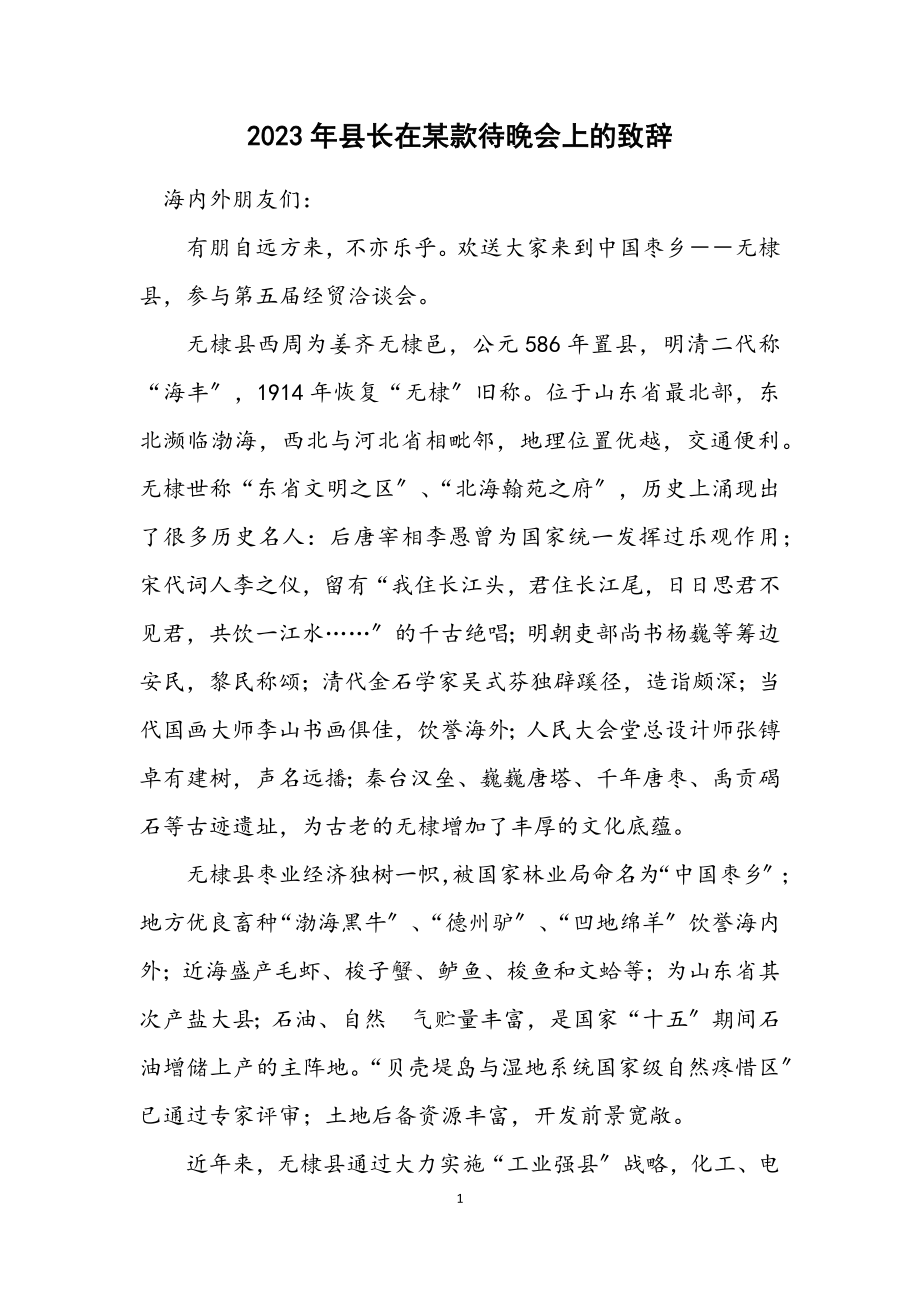 2023年县长在某招待晚会上的致辞.docx_第1页