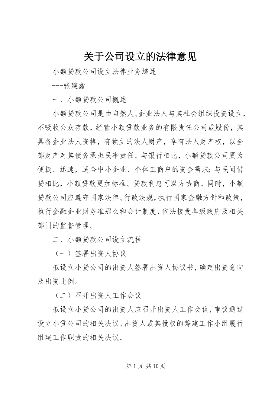 2023年公司设立的法律意见.docx_第1页