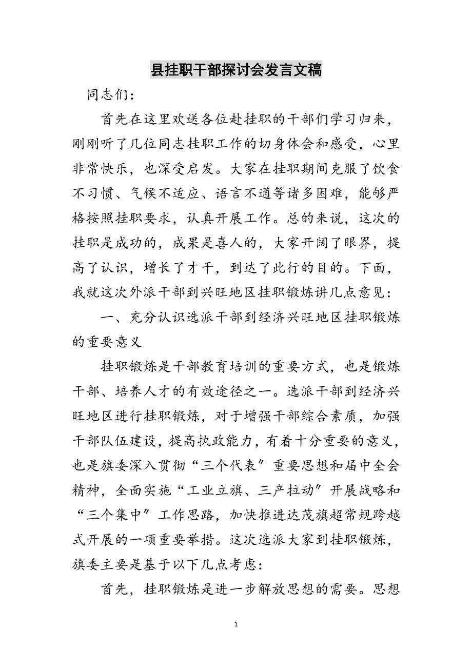 2023年县挂职干部探讨会发言文稿范文.doc_第1页