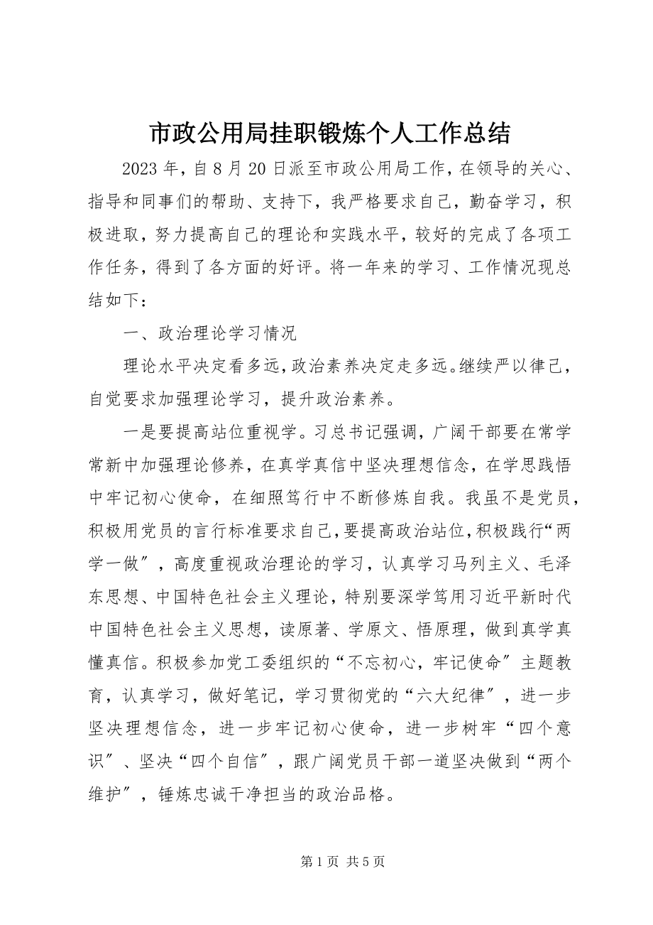 2023年市政公用局挂职锻炼个人工作总结.docx_第1页