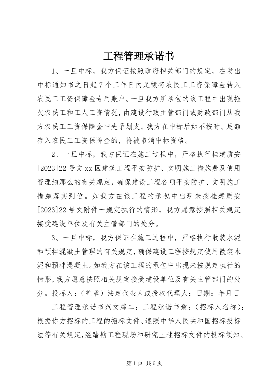 2023年项目管理承诺书.docx_第1页