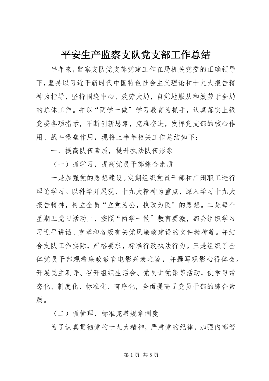 2023年安全生产监察支队党支部工作总结新编.docx_第1页