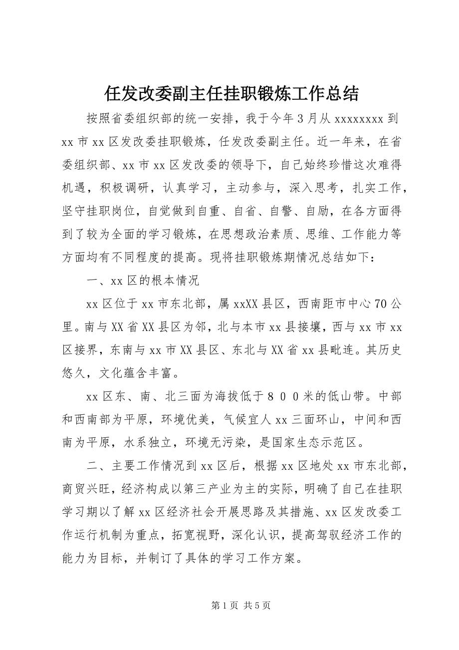 2023年任发改委副主任挂职锻炼工作总结.docx_第1页