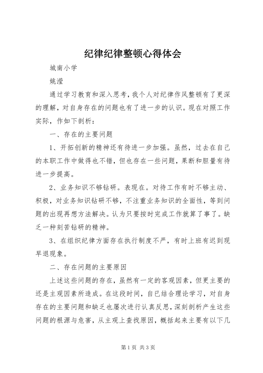 2023年纪律纪律整顿心得体会.docx_第1页