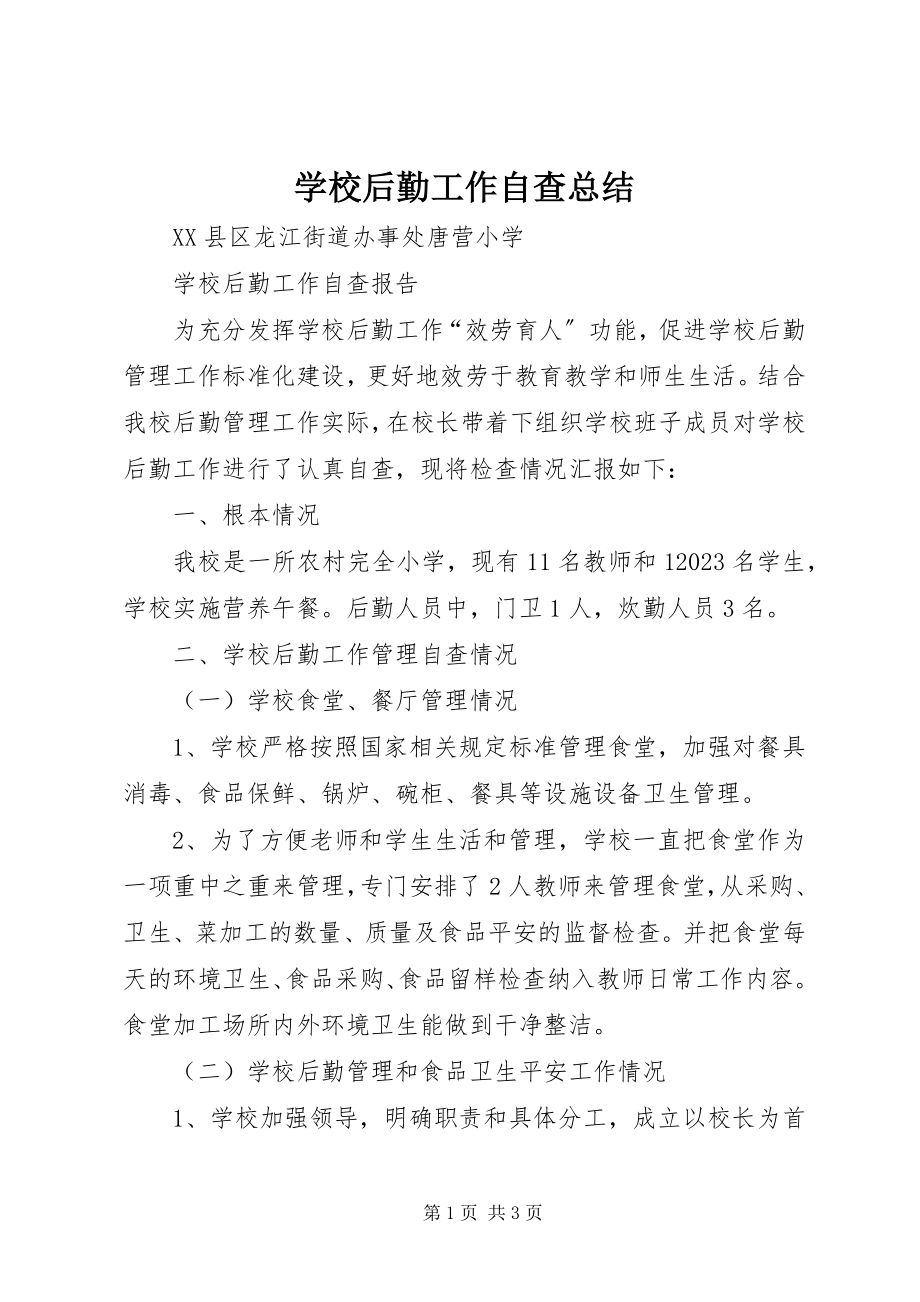 2023年学校后勤工作自查总结.docx_第1页