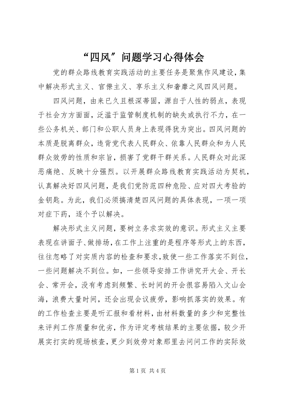 2023年四风问题学习心得体会.docx_第1页