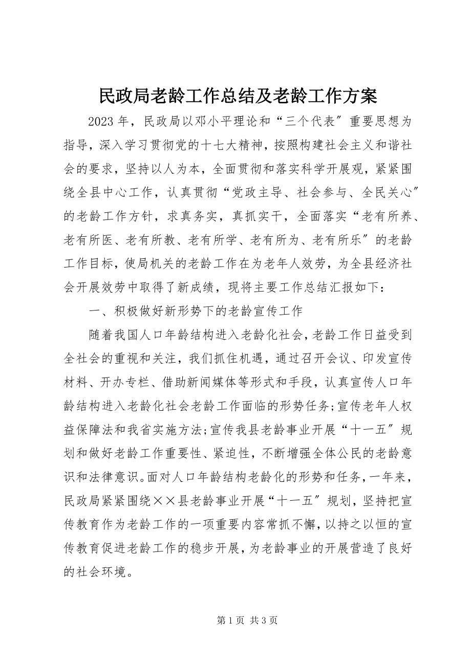 2023年民政局老龄工作总结及老龄工作计划.docx_第1页