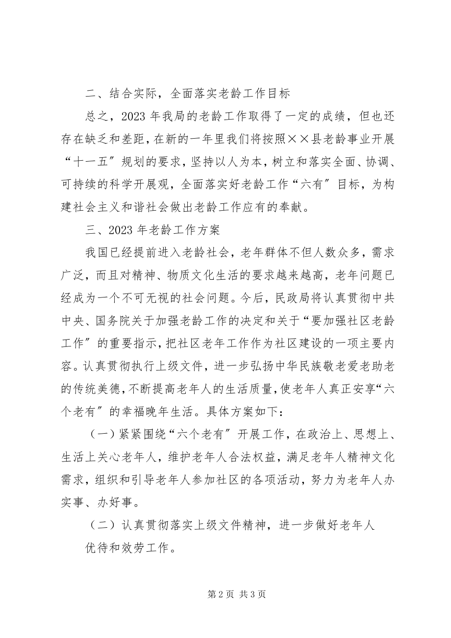 2023年民政局老龄工作总结及老龄工作计划.docx_第2页