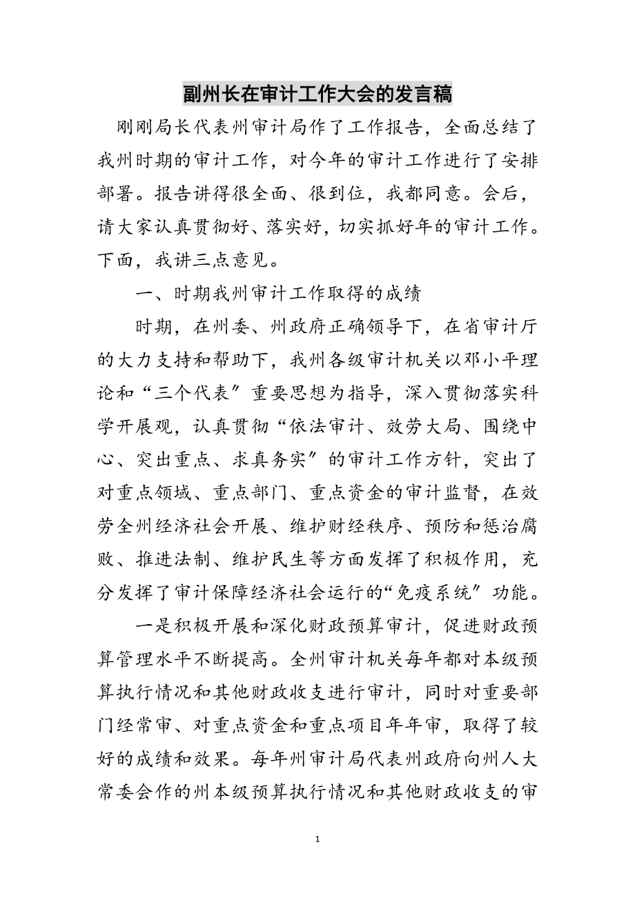 2023年副州长在审计工作大会的发言稿范文.doc_第1页