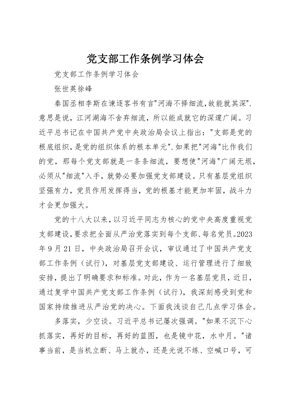 2023年党支部工作条例学习体会.docx_第1页