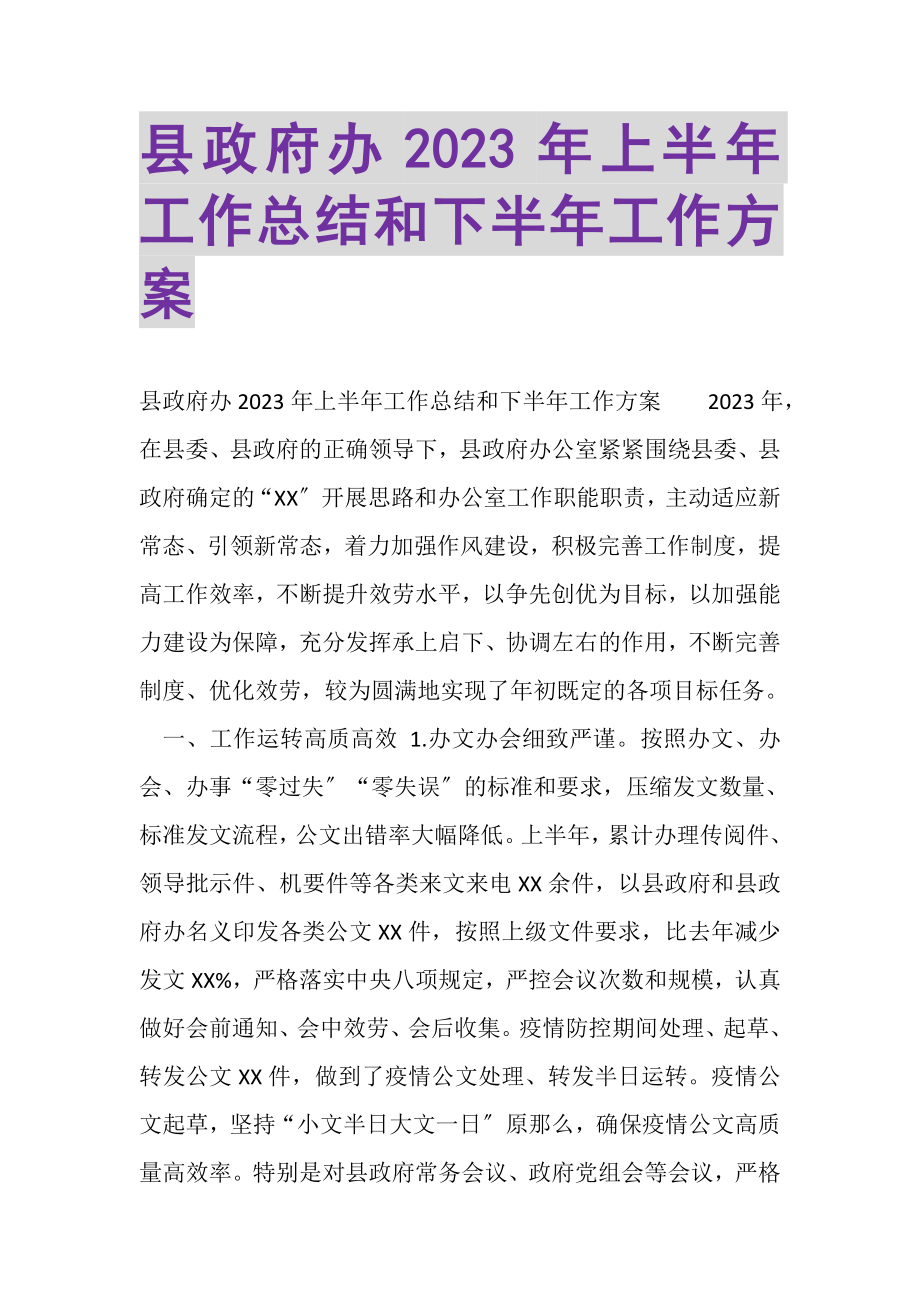 2023年县政府办上半年工作总结和下半年工作计划.doc_第1页