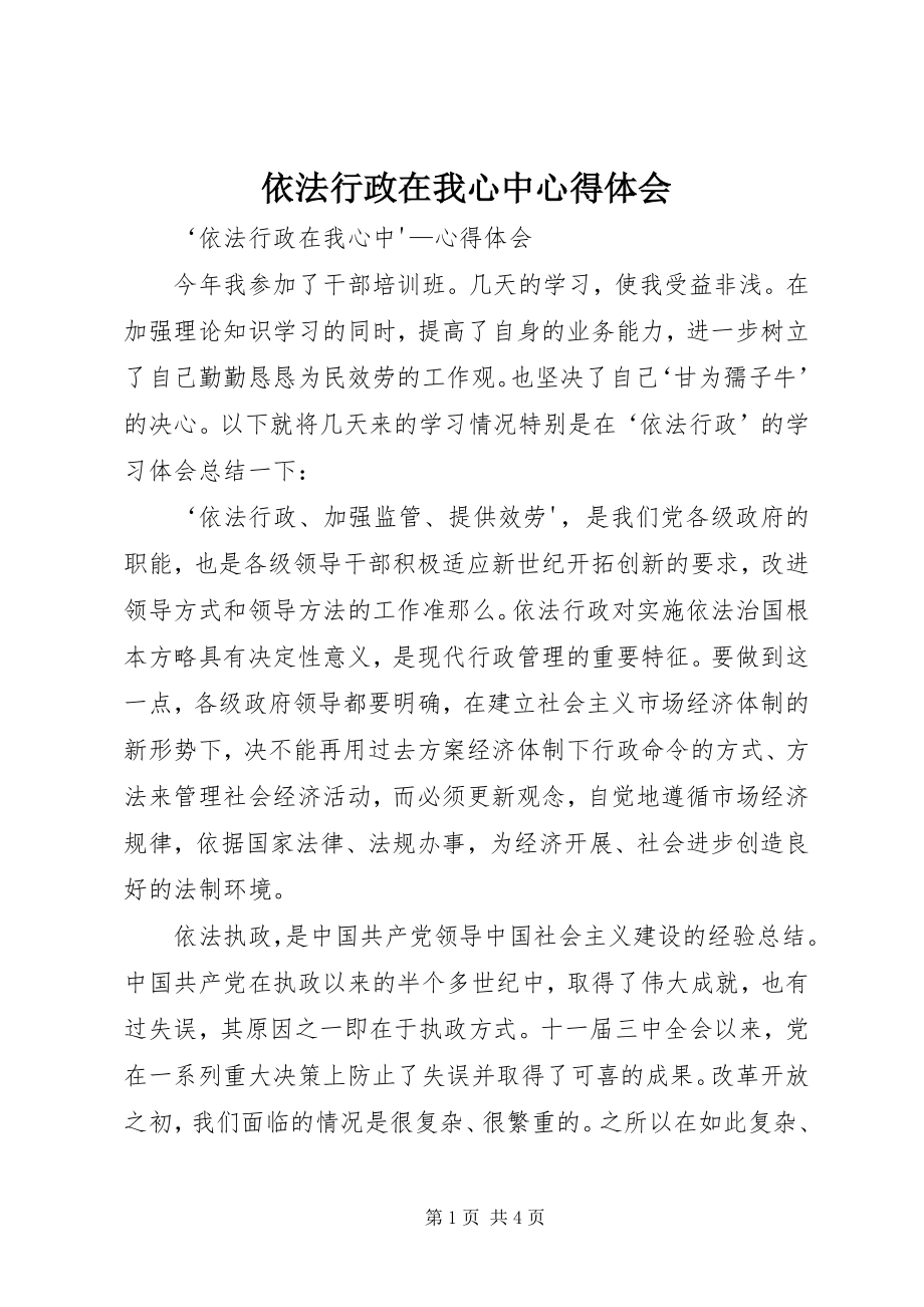 2023年依法行政在我心中心得体会.docx_第1页