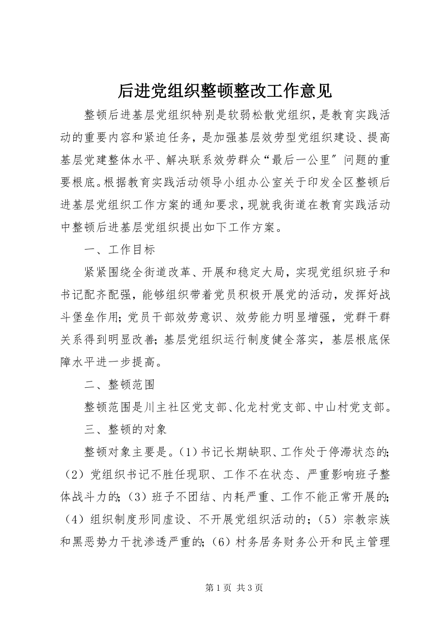 2023年后进党组织整顿整改工作意见新编.docx_第1页