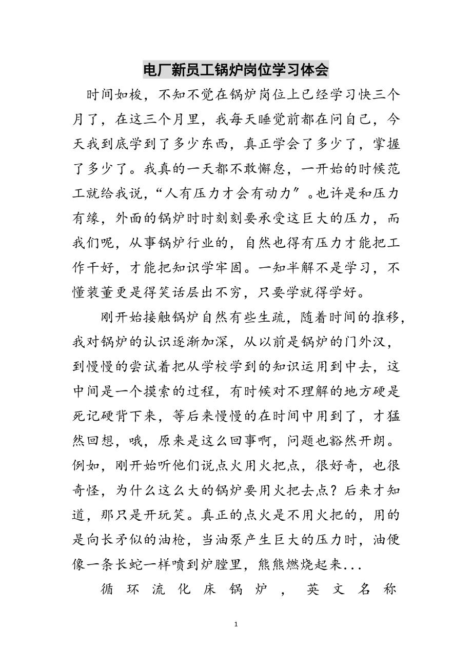 2023年电厂新员工锅炉岗位学习体会范文.doc_第1页