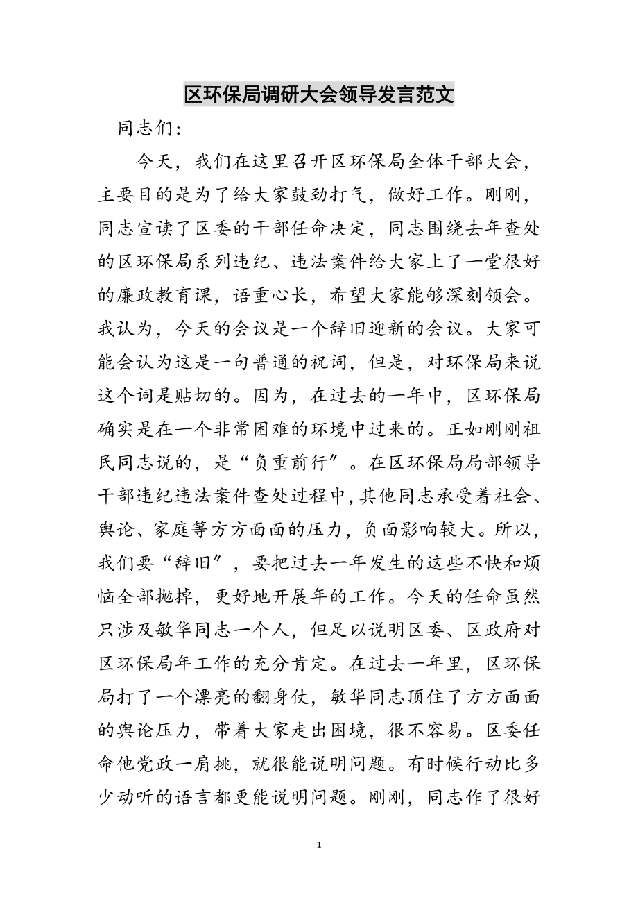 2023年区环保局调研大会领导发言范文范文.doc_第1页