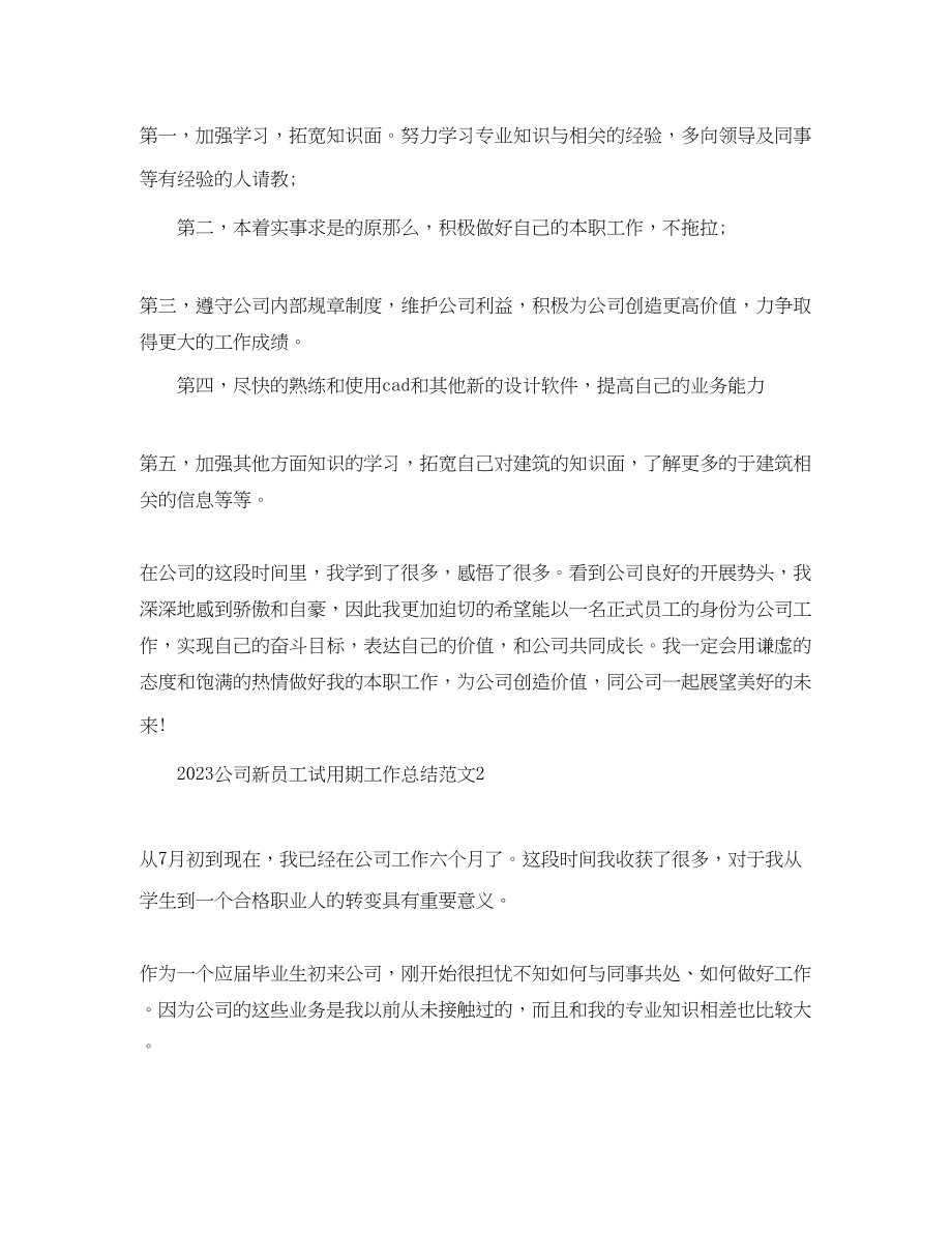 2023年公司新员工试用期工作总结2.docx_第3页