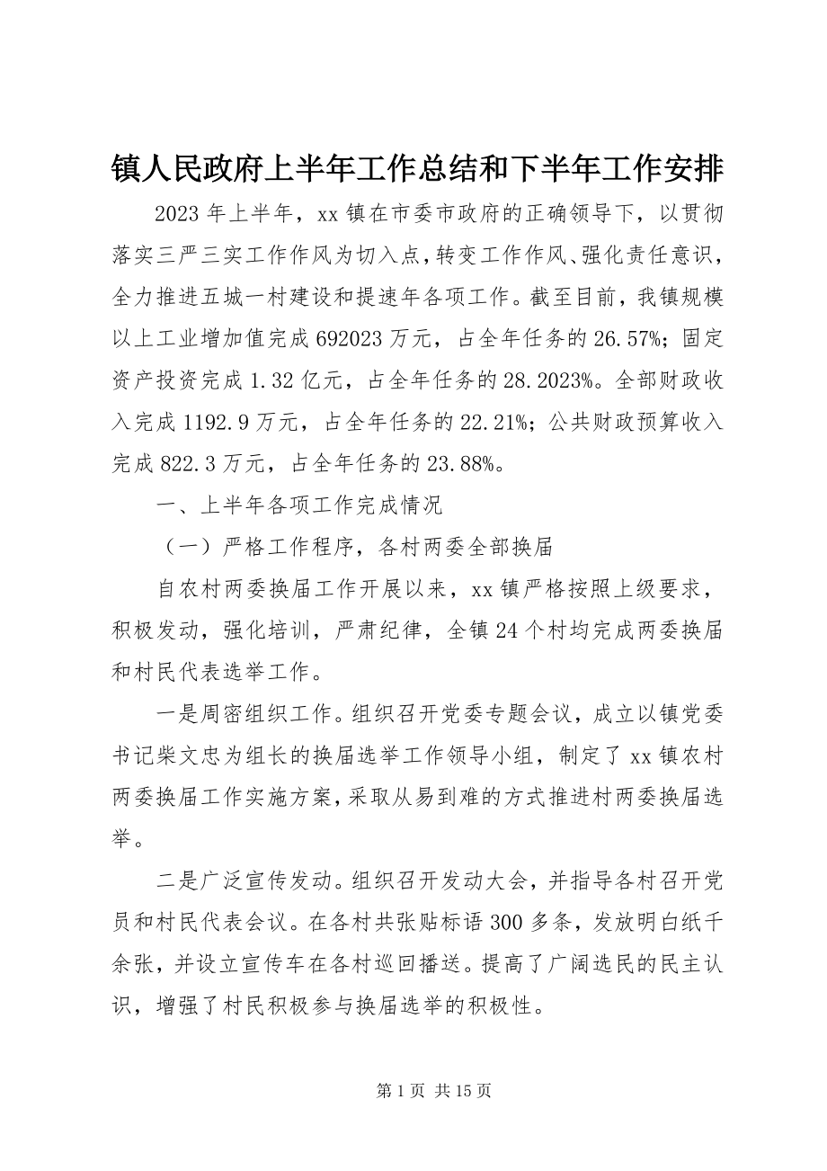 2023年镇人民政府上半年工作总结和下半年工作安排.docx_第1页