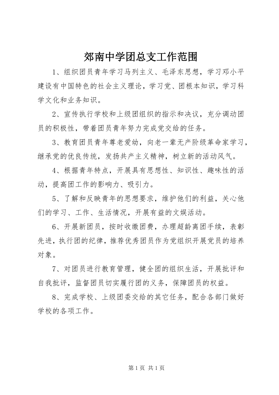 2023年郊南中学团总支工作范围.docx_第1页