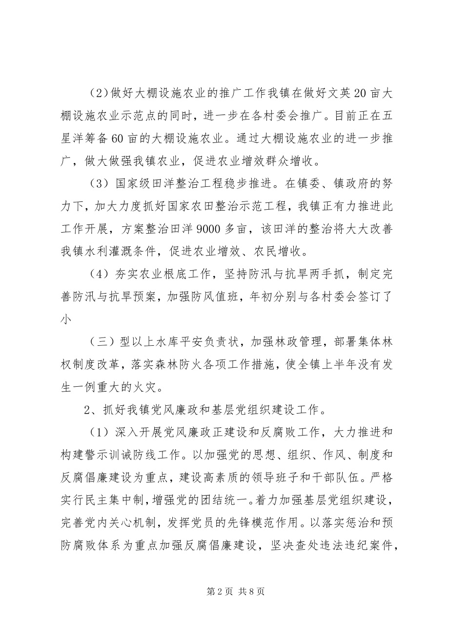 2023年乡镇经济建设上半年总结.docx_第2页