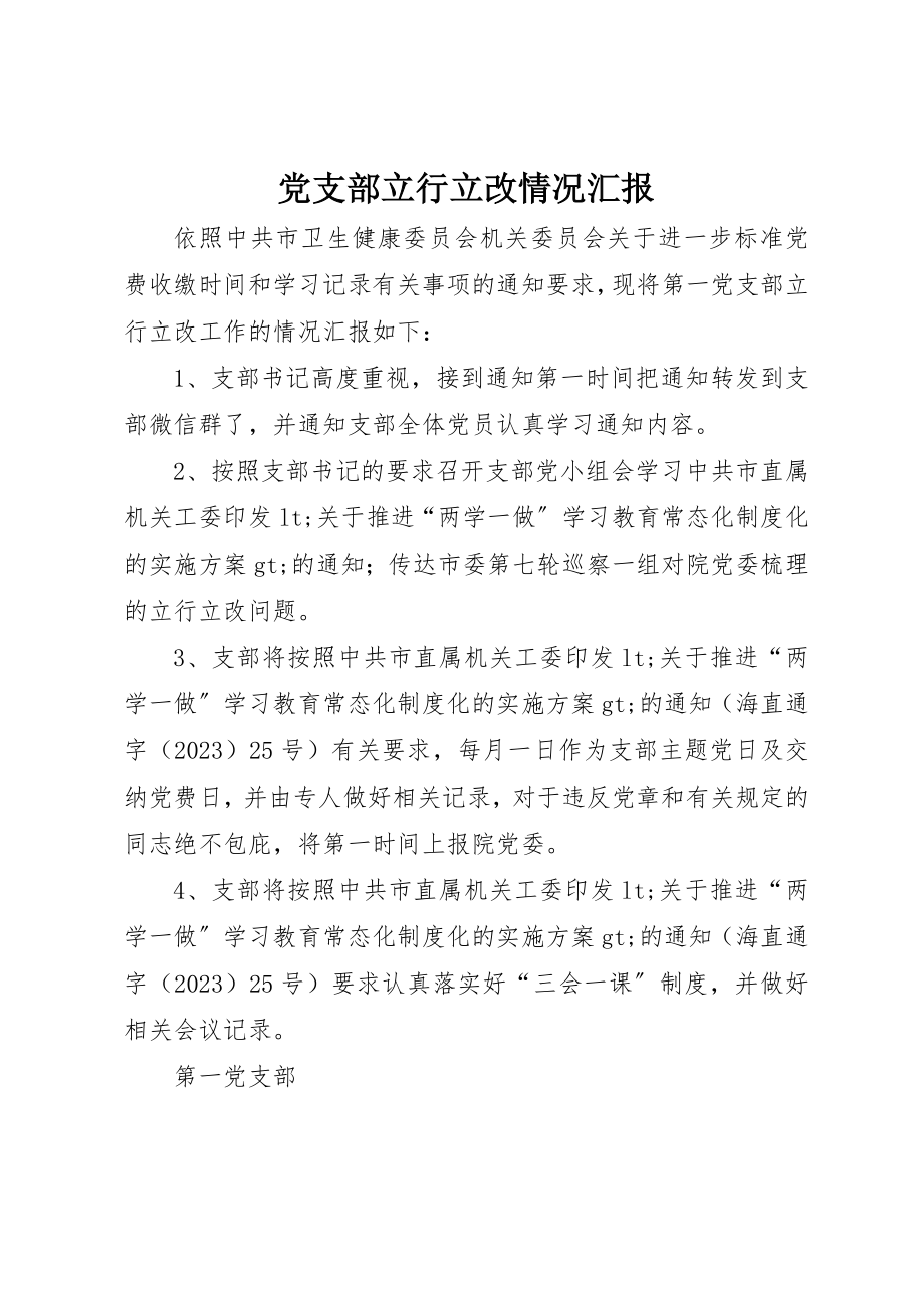 2023年党支部立行立改情况汇报.docx_第1页