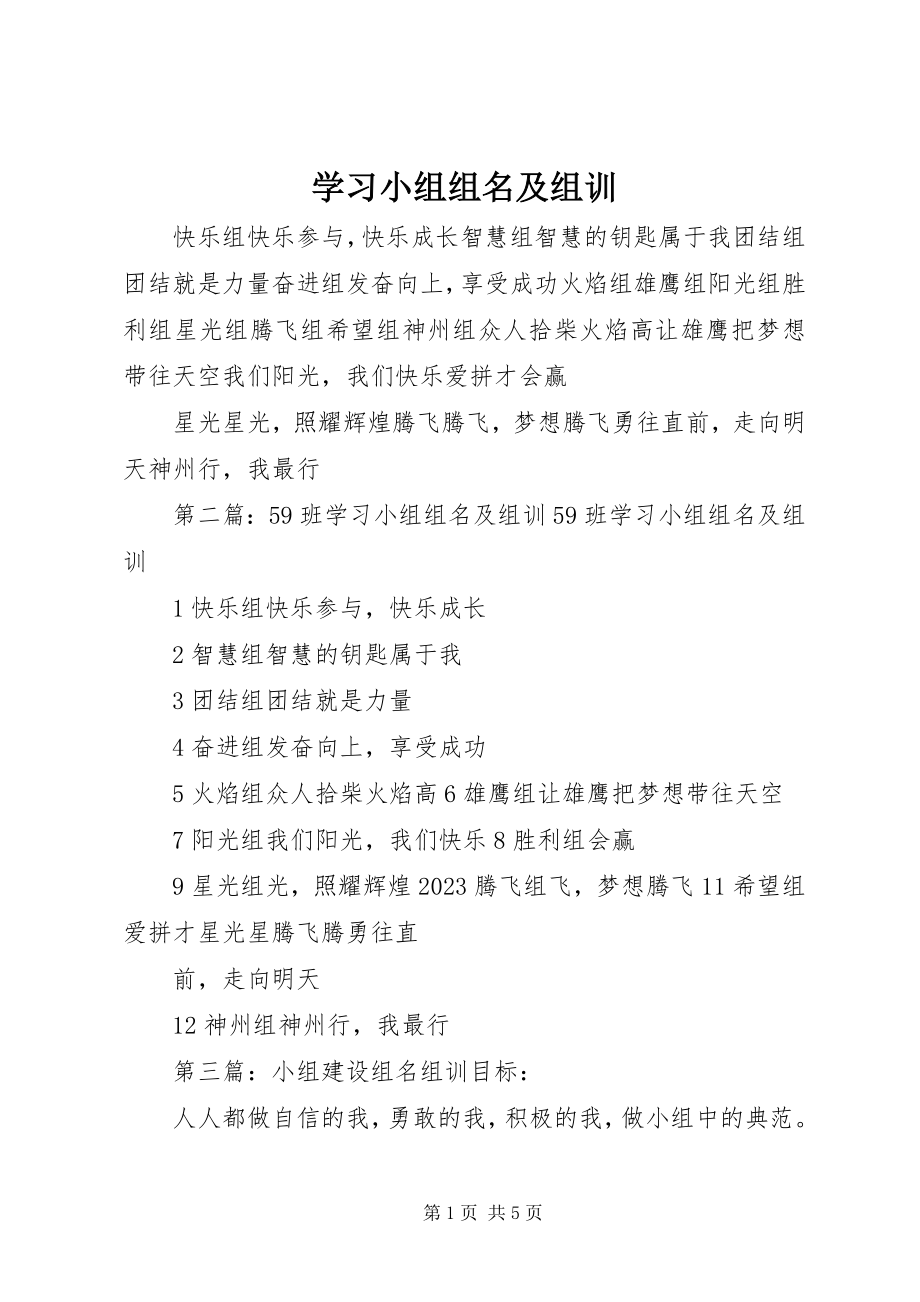 2023年学习小组组名及组训.docx_第1页