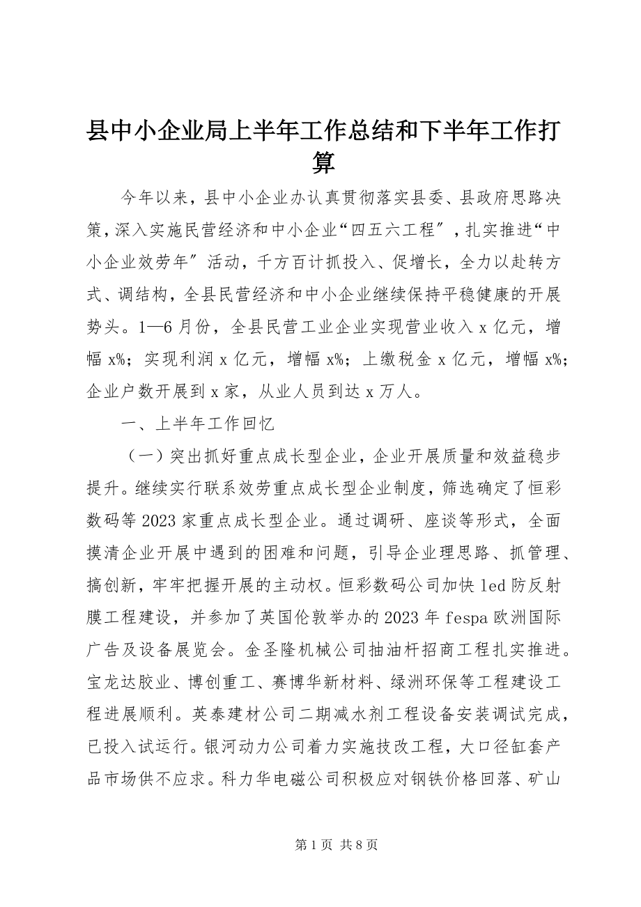 2023年县中小企业局上半年工作总结和下半年工作打算.docx_第1页