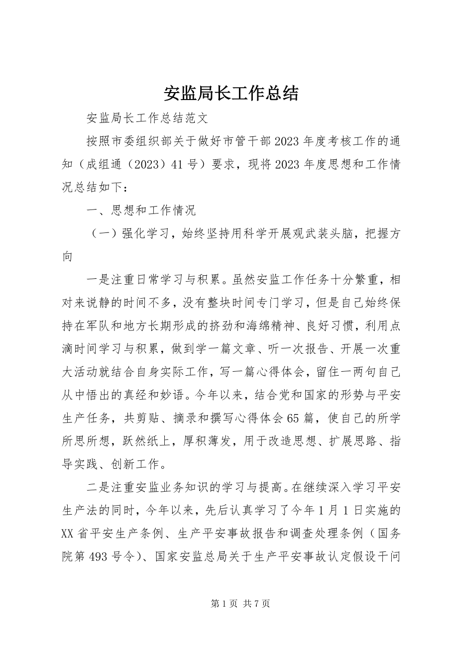 2023年安监局长工作总结新编.docx_第1页