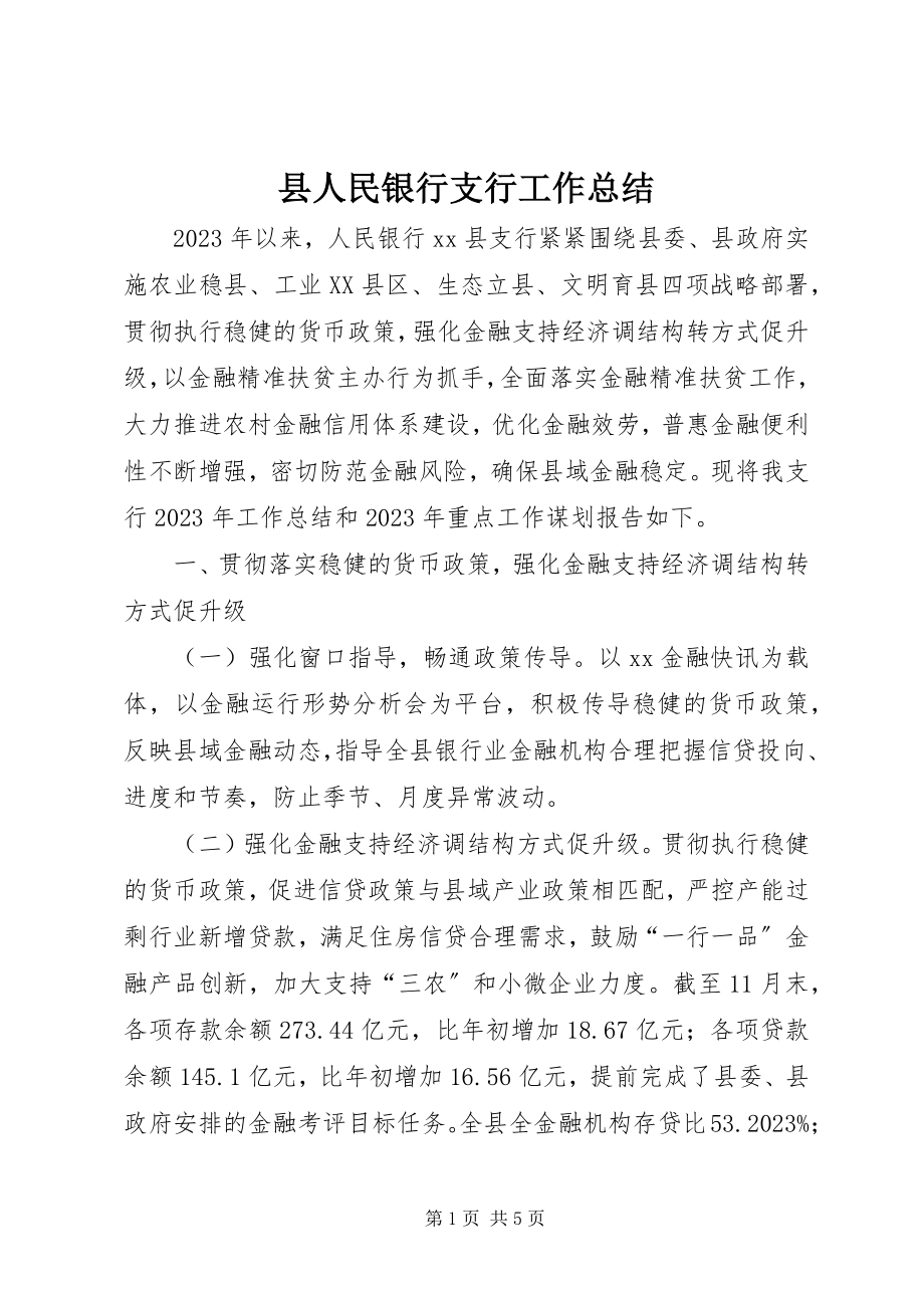 2023年县人民银行支行工作总结.docx_第1页