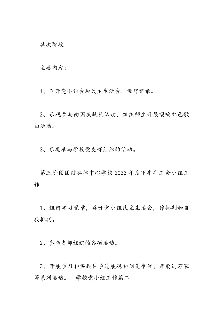 2023年学校党小组工作详细计划.docx_第3页