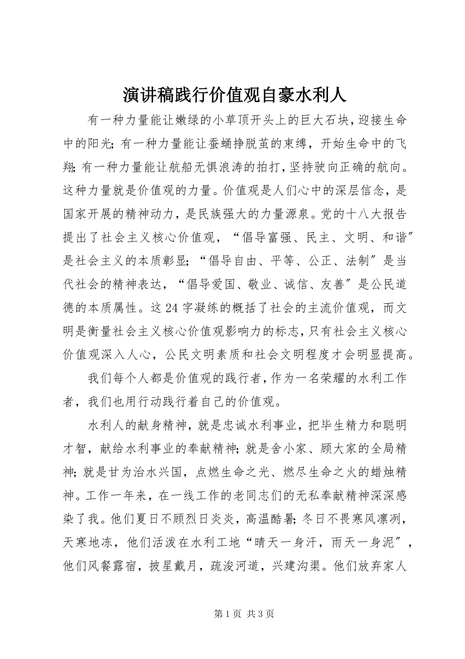 2023年演讲稿践行价值观自豪水利人.docx_第1页