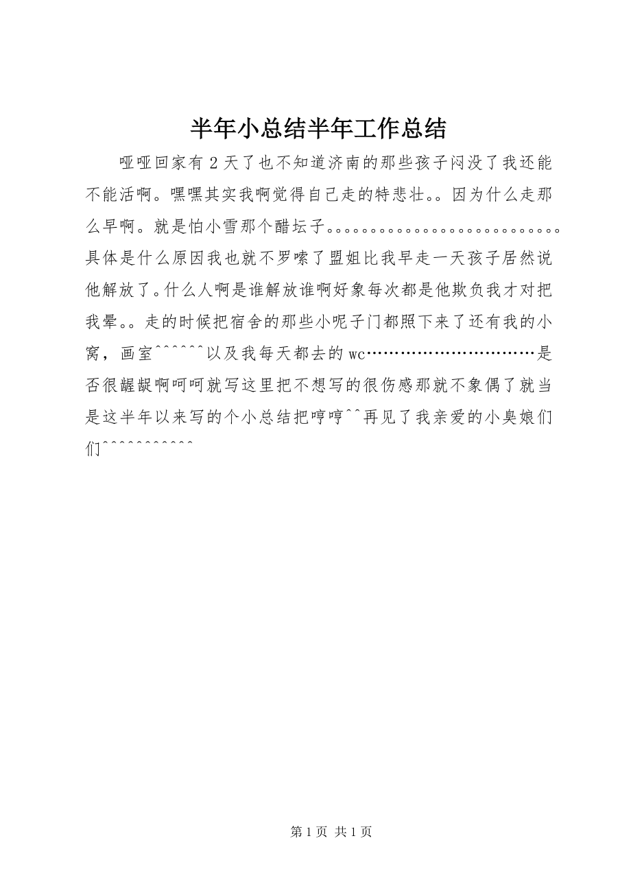 2023年半年小总结半年工作总结2新编.docx_第1页