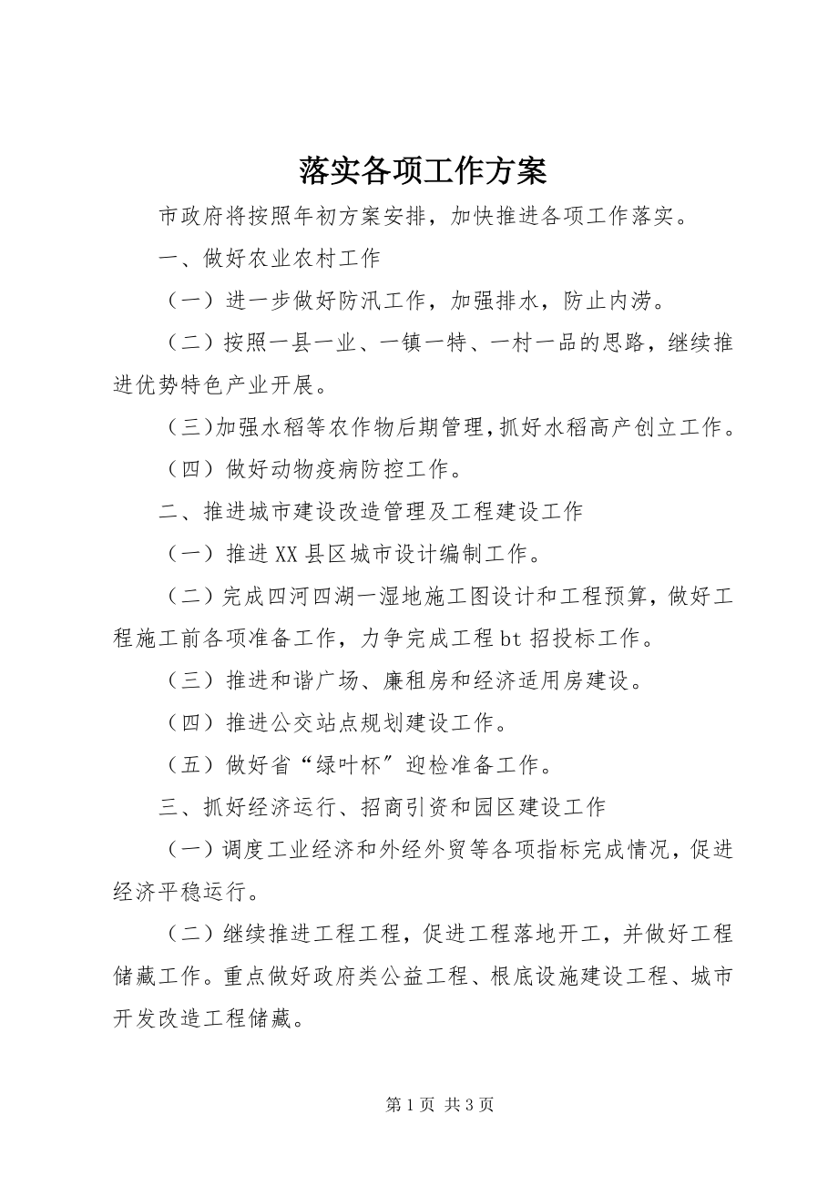 2023年落实各项工作计划.docx_第1页