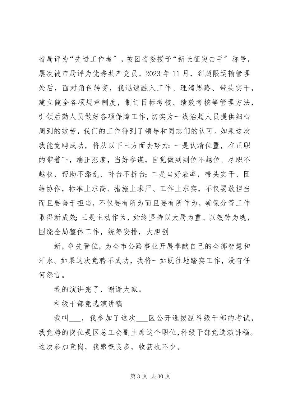 2023年副科级干部竞选演讲稿.docx_第3页