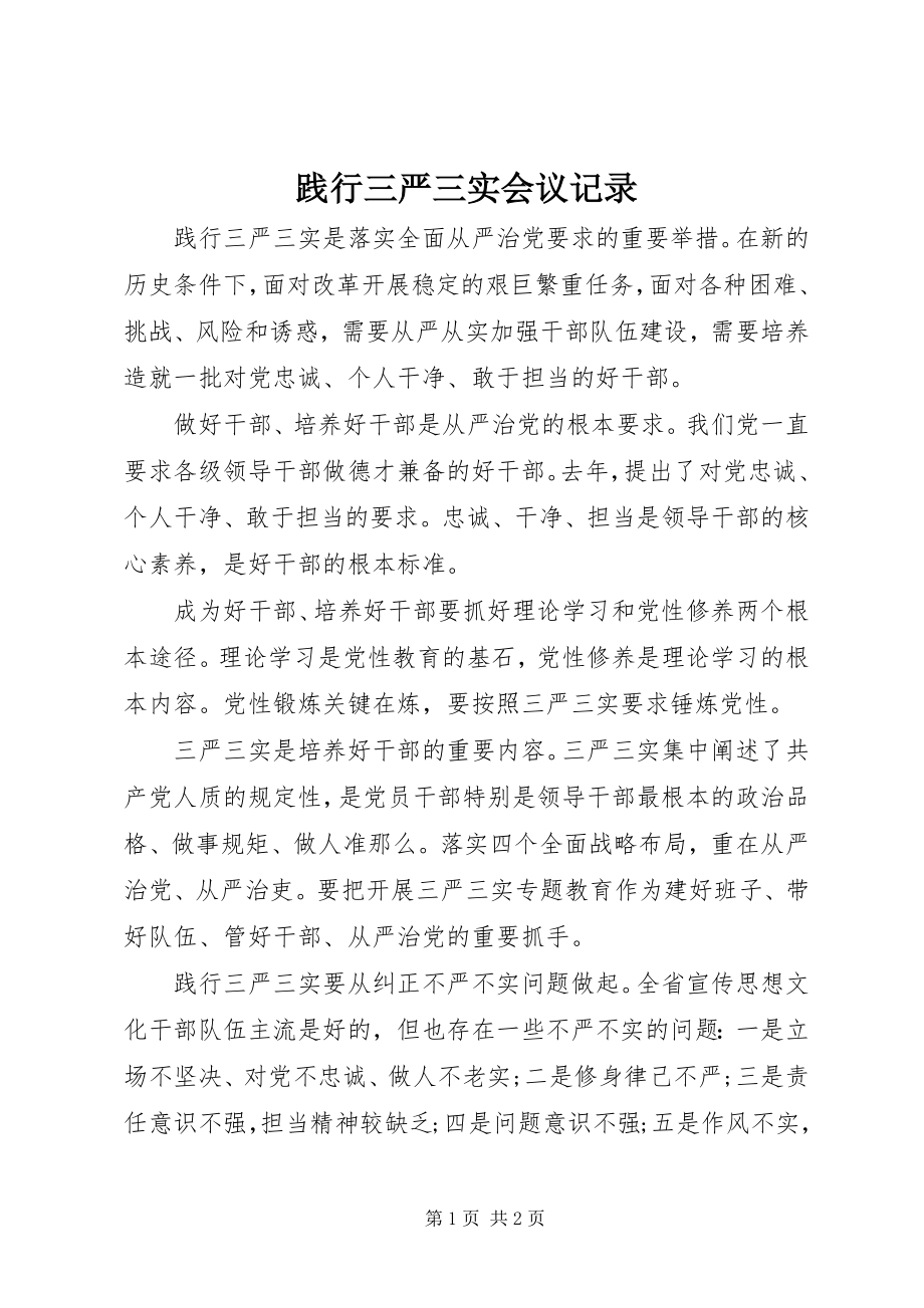 2023年践行三严三实会议记录.docx_第1页