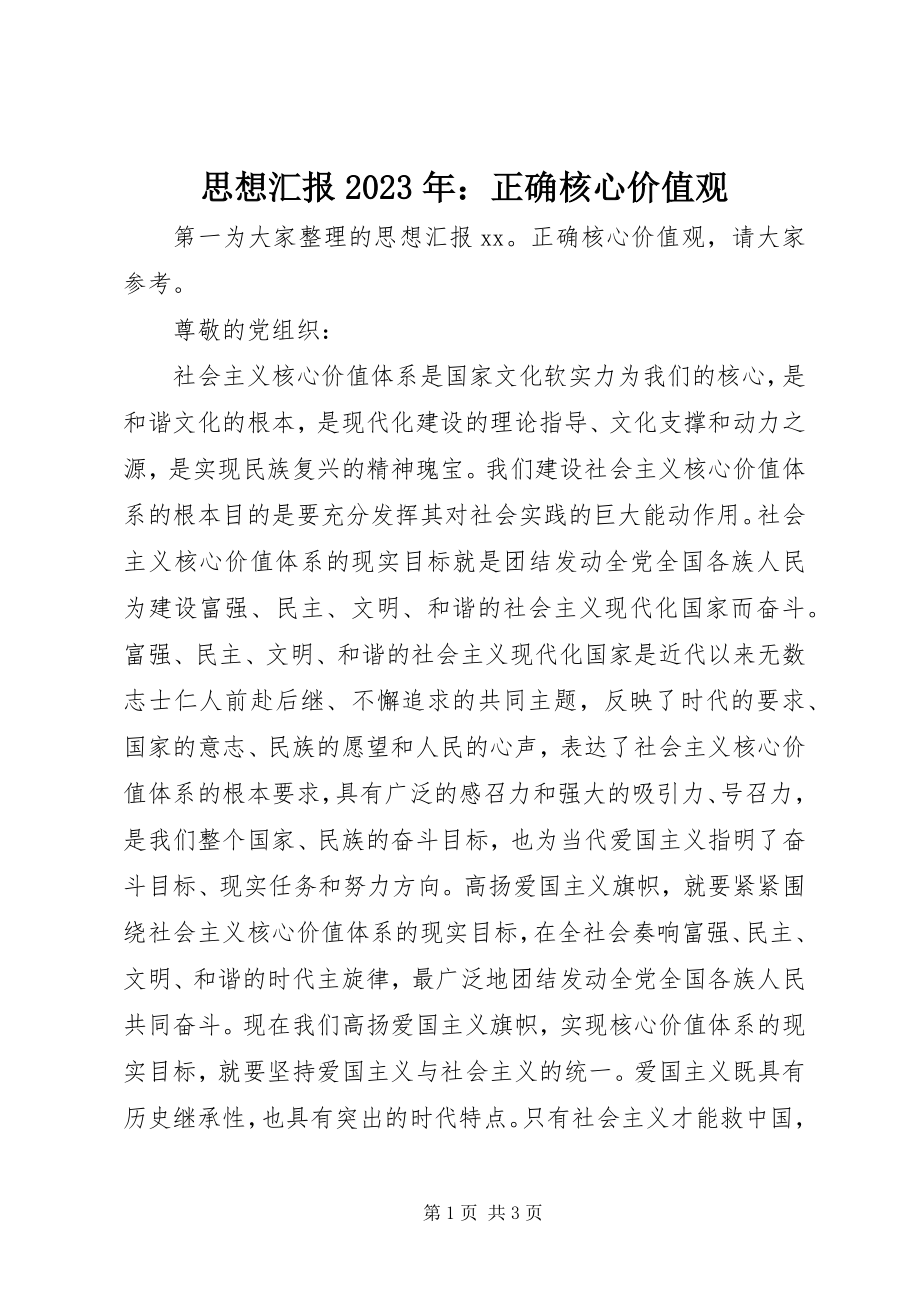 2023年思想汇报正确核心价值观.docx_第1页