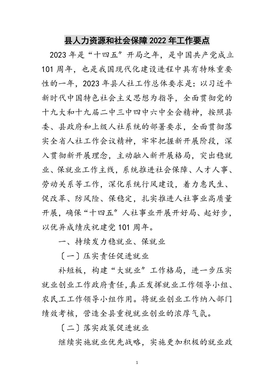 2023年县人力资源和社会保障年工作要点范文.doc_第1页