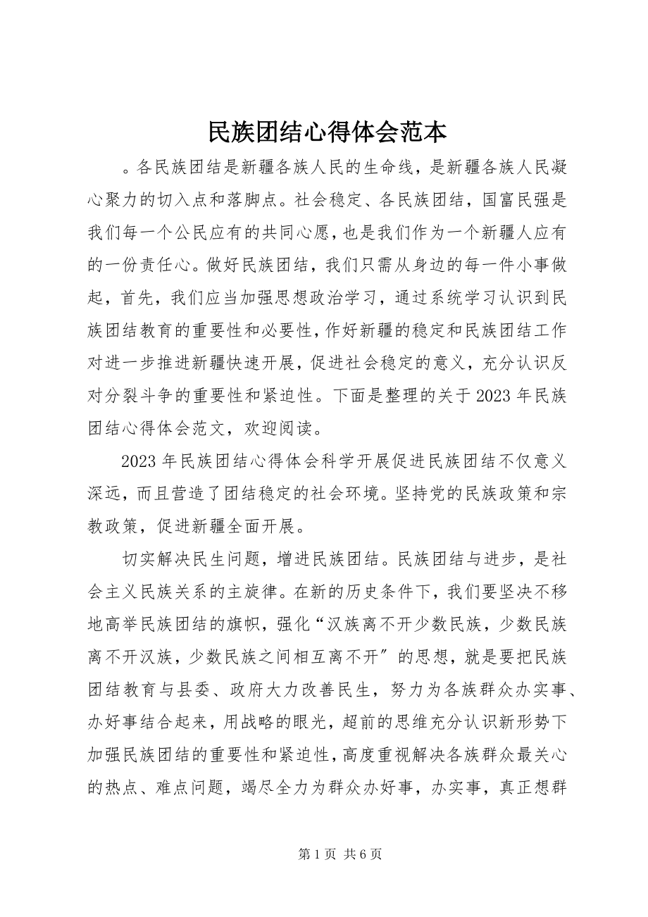 2023年民族团结心得体会范本.docx_第1页